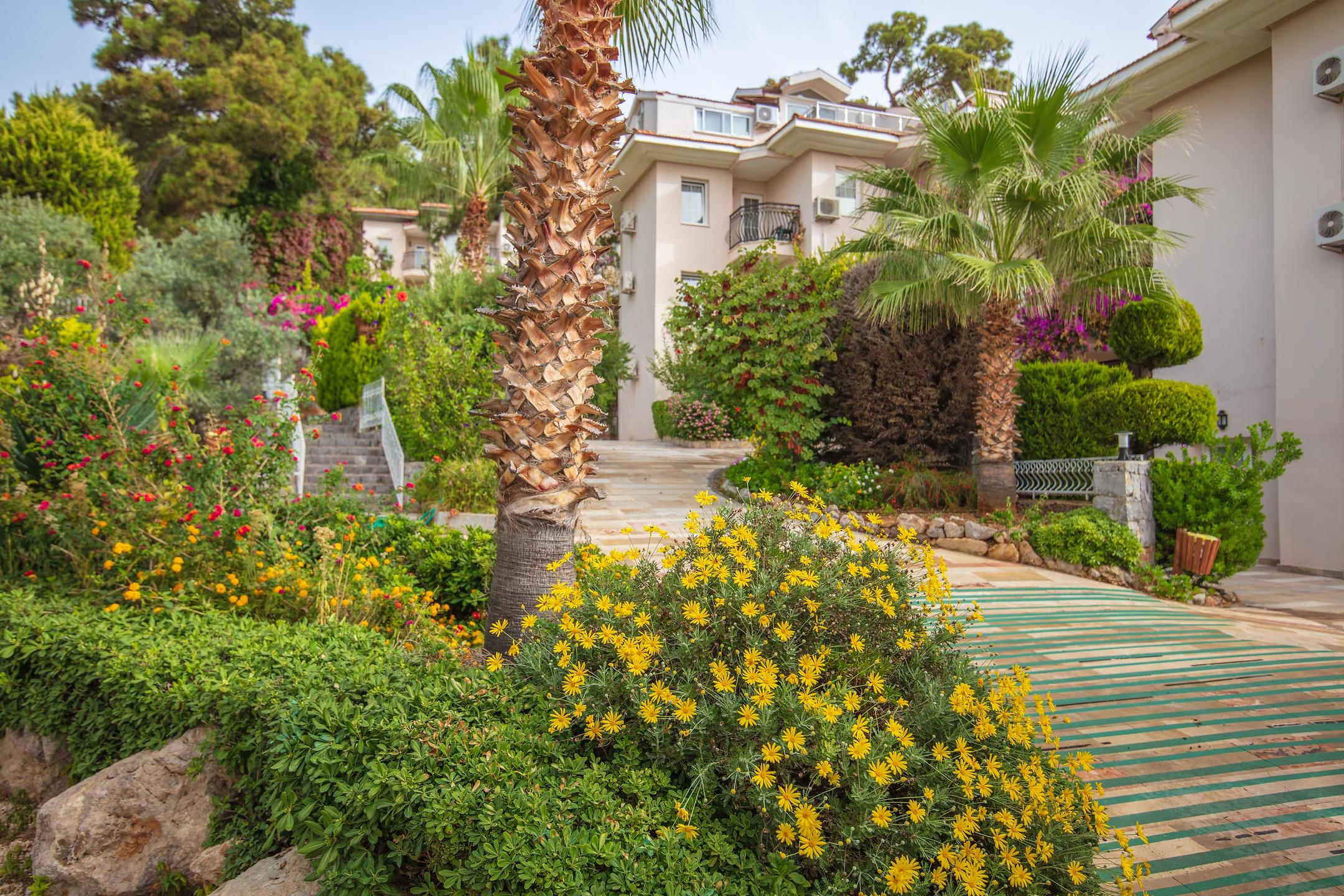 Otel Kıyasla Otelleri